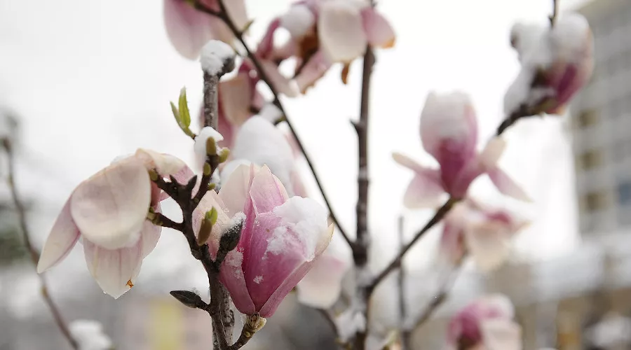  &copy;&nbsp;Алёна Живцова, ЮГА.ру