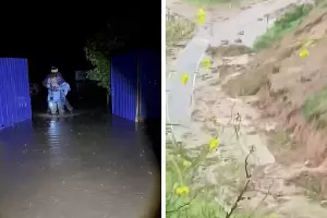  &copy;&nbsp;Скриншоты видео из телеграм-каналов главы Усть-Лабинского района Станислава Гайнюченко и &laquo;Наш Усть-Лабинск&raquo;