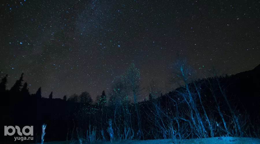  &copy;&nbsp;Фото Елены Синеок, Юга.ру
