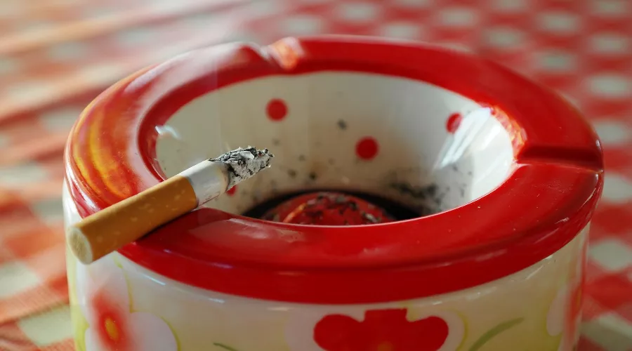  &copy;&nbsp;Фото с сайта pixabay.com