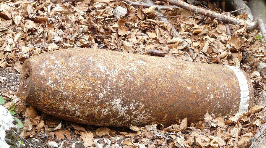  &copy;&nbsp;Фото с сайта pixabay.com