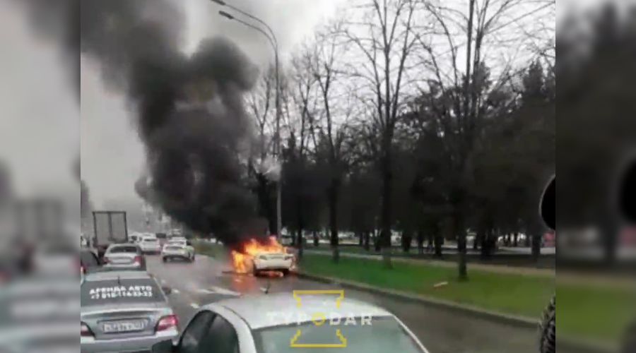  &copy;&nbsp;Скриншот видео из телеграм-канала &laquo;Туподар Краснодар&raquo;, t.me/typodar