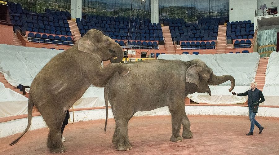  © Фото Сергея Лисицына для Юга.ру