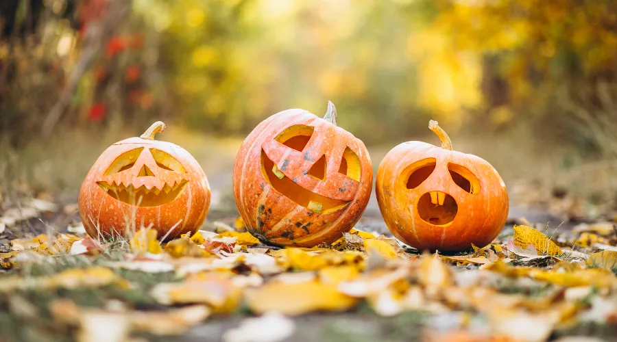  &copy;&nbsp;Фото senivpetro с сайта freepik.com