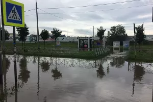  &copy;&nbsp;Фото Дмитрия Пославского, Юга.ру