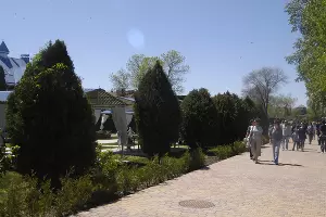  &copy;&nbsp;Фото Марии Строителевой, Юга.ру