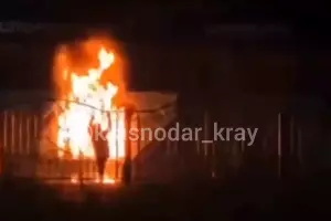  &copy;&nbsp;Скриншот видео из телеграм-канала &laquo;Краснодарский край&raquo;, t.me/krasnodarkray1