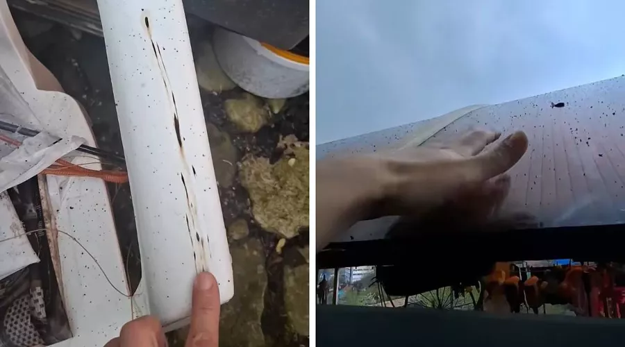  &copy;&nbsp;Скриншоты ролика из телеграм-канала RusNews