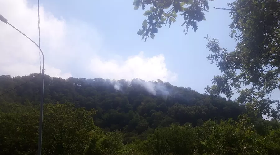  &copy;&nbsp;Фото пресс-службы Сочинского национального парка