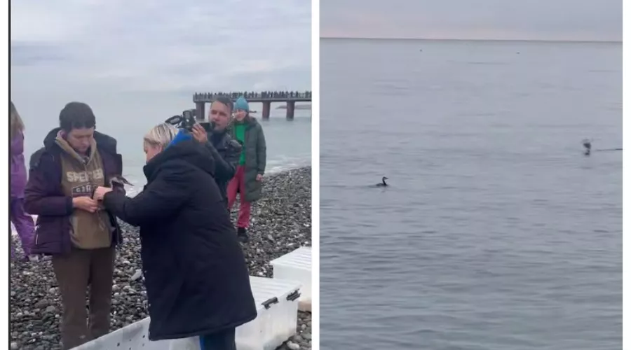  &copy;&nbsp;Скриншот из телеграм-канала эколога Романа Пукалова https://t.me/Roman_eco/269