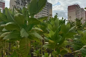  &copy;&nbsp;Фото Яры Гуляевой, Юга.ру