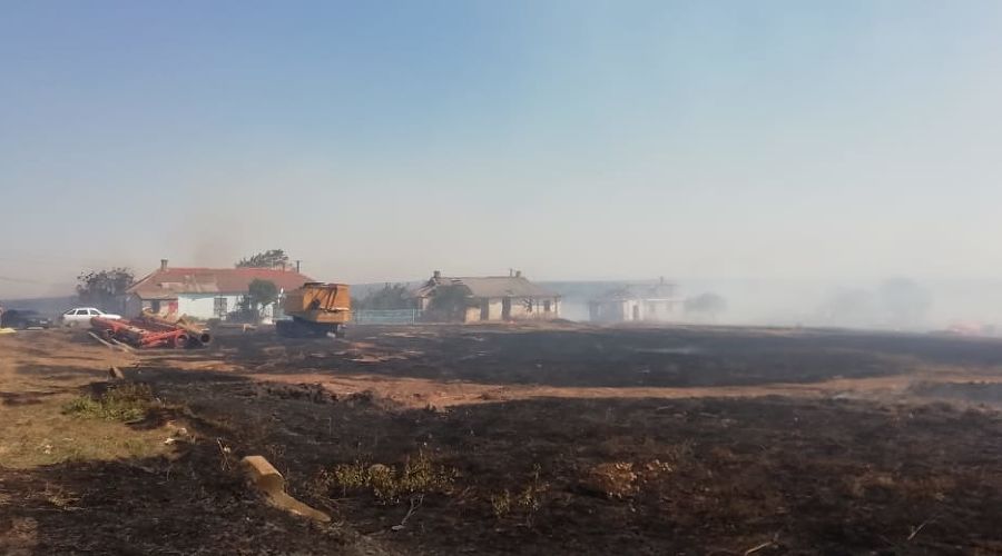 Пожар в поселке Волна © Фото из группы «Туподар», vk.com/typodar