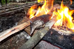  &copy;&nbsp;Фото Максима Богатырева