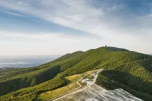  &copy;&nbsp;Фото пресс-службы &laquo;Шато Пино&raquo;, instagram.com/chateau_pinot_winery