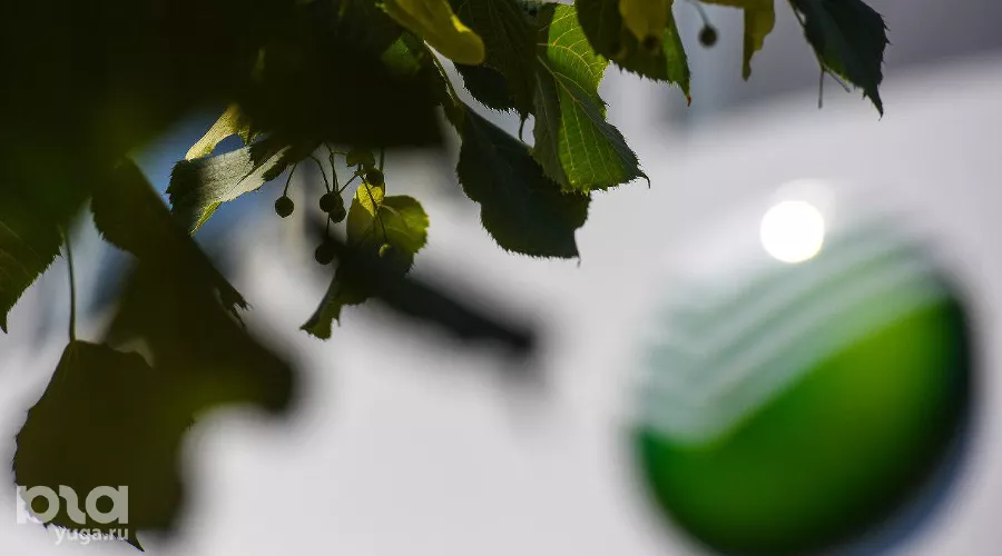 Сбербанк &copy;&nbsp;Елена Синеок, ЮГА.ру