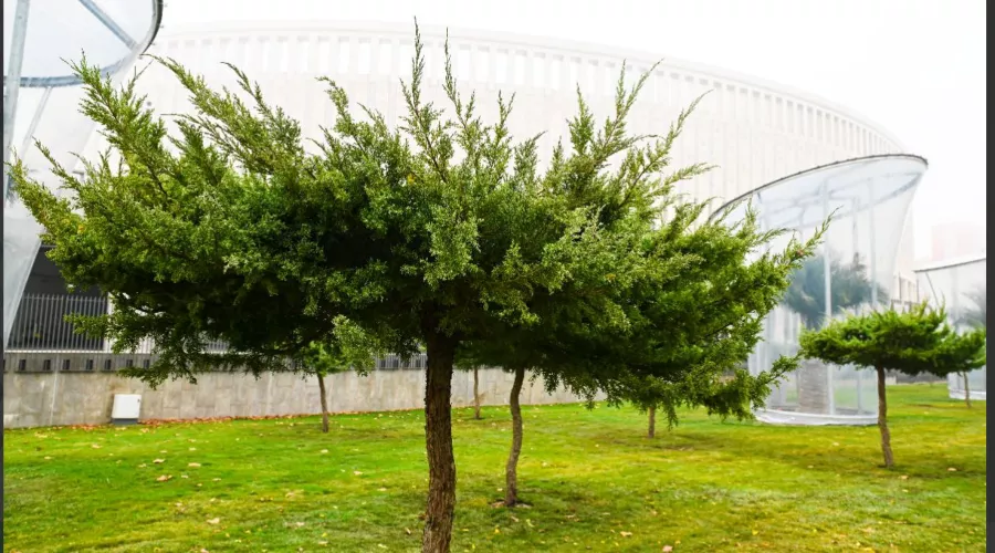  &copy;&nbsp;Скриншот фото из телеграм-канала &laquo;Парк &laquo;Краснодар&raquo;