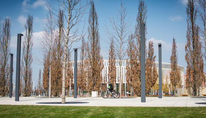 Каллиграфия и открытки: чему будут учить в Японском саду Краснодара в марте