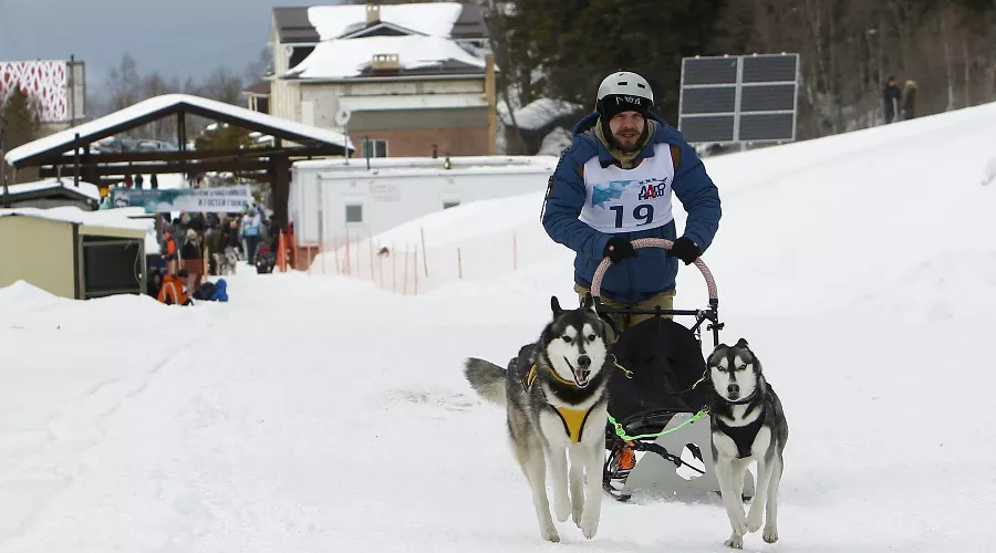 Гонка на собачьих упряжках «Лагонаки-2017» &copy;&nbsp;Фото Влада Александрова, Юга.ру