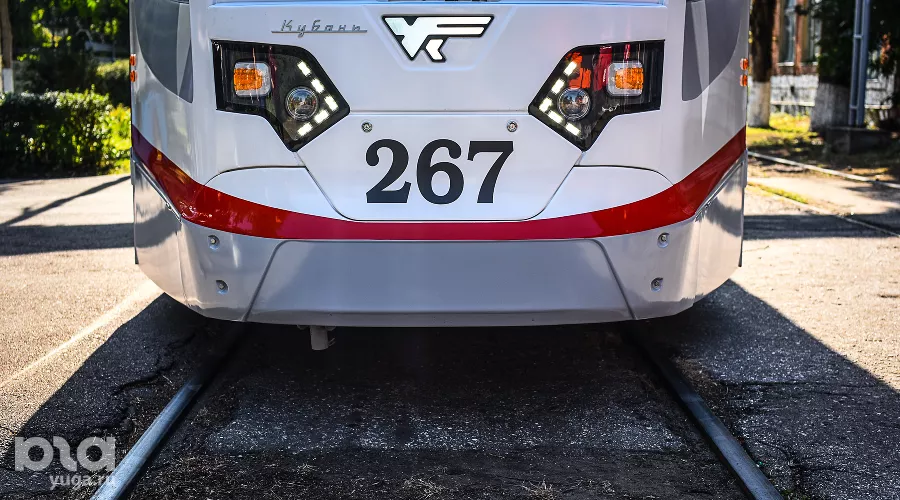  &copy;&nbsp;Фото Елены Синеок, Юга.ру