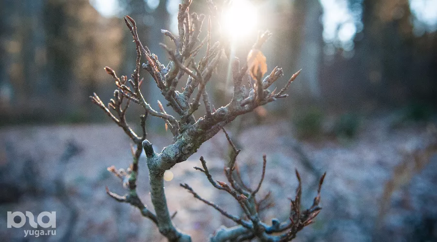  &copy;&nbsp;Фото Елены Синеок, Юга.ру