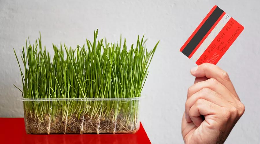  &copy;&nbsp;Коллаж Дмитрия Пославского, Юга.ру