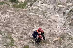  &copy;&nbsp;Фото МБУ &laquo;Служба Спасения&raquo; Анапы