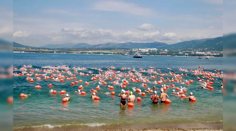  &copy;&nbsp;Фото пресс-службы администрации Геленджика
