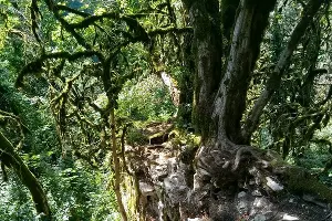 Хостинская крепость &copy;&nbsp;Фото Ирины Моргуновой, instagram.com/morgunova504