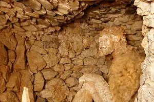 "Музей снежного человека" в Адыгее &copy;&nbsp;Влад Александров, ЮГА.ру