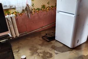  © Фото Людмилы Долженко