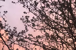  &copy;&nbsp;Фото из личного архива Аси Большовой