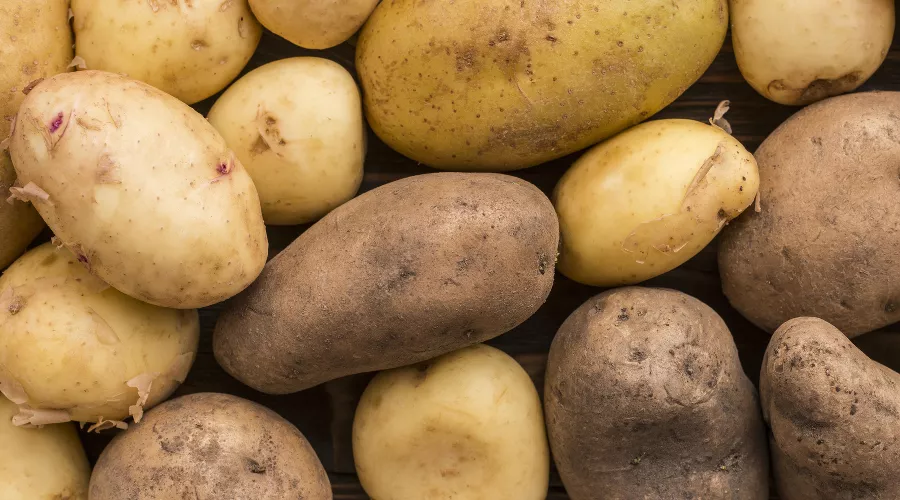  &copy;&nbsp;Фото freepik, сайт freepik.com