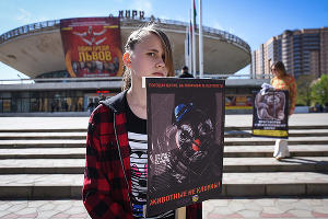 Пикет "Мы за цирк без животных" в Краснодаре © Елена Синеок, ЮГА.ру