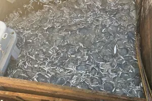  &copy;&nbsp;Скриншот фото из телеграм-канала &laquo;Новороссийский Рабочий&raquo;