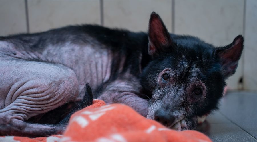  © Фото предоставлено ТС «Пятёрочка»