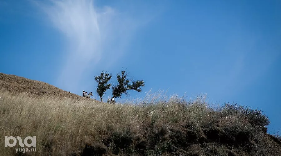  &copy;&nbsp;Николай Ильин, Юга.ру