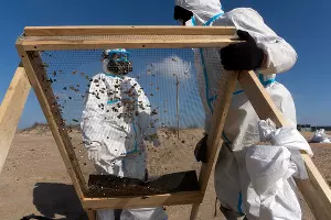  &copy;&nbsp;Фото Полины Безверхой, Юга.ру