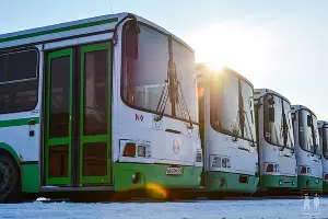 Автобусы Ростова-на-Дону &copy;&nbsp;Фото пресс-службы администрации Ростова-на-Дону