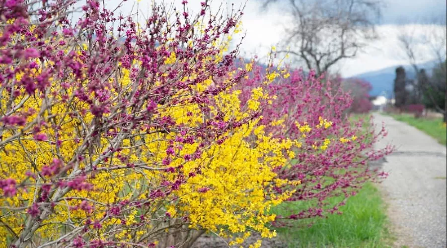  &copy;&nbsp;Фото пресс-службы МУП Сочи &laquo;Водоканал&raquo;