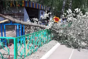  &copy;&nbsp;Фото пресс-службы администрации Краснодара