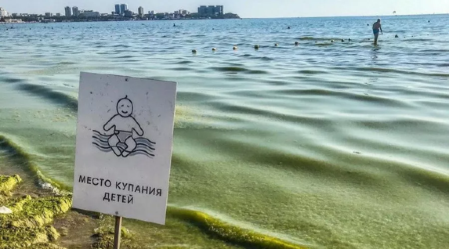  &copy;&nbsp;Фото из инстаграма Виктории Фурса, instagram.com/viktoriia_fursa/