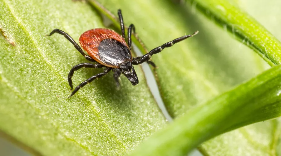  &copy;&nbsp;Фото пользователя erik-karits-2093459, сайт freepik.com