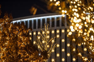 Парк «Краснодар»  с новогодней подсветкой &copy;&nbsp;Фото Елены Синеок, Юга.ру