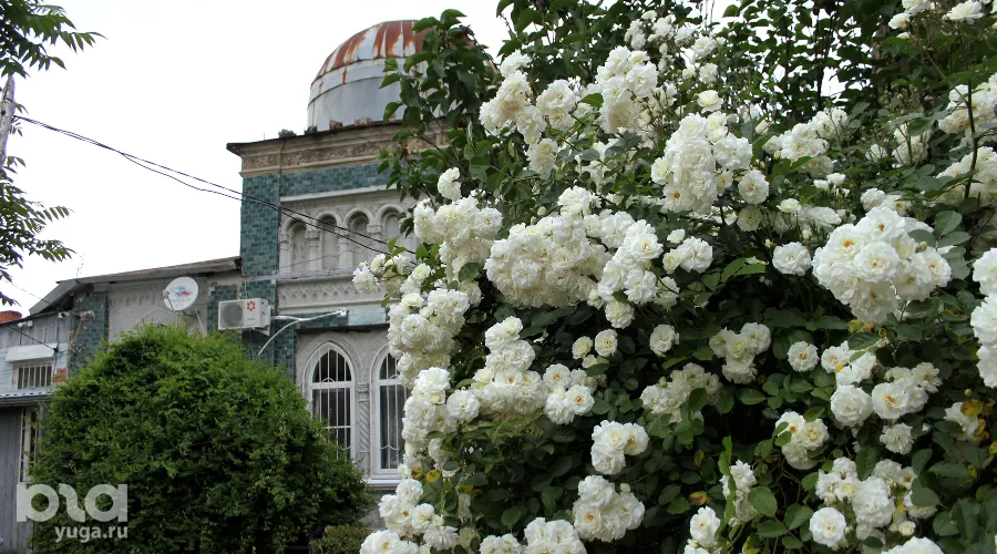  &copy;&nbsp;Фото Марины Солошко, Юга.ру