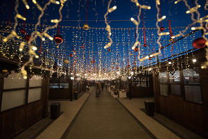 Новогодняя ярмарка в торговом квартале «Центр города» в Краснодаре © Фото Елены Синеок, Юга.ру