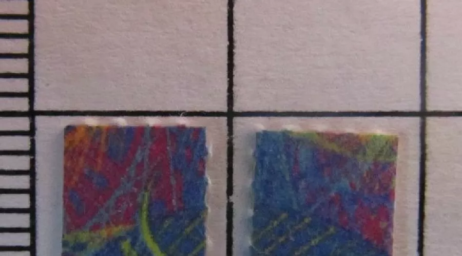  &copy;&nbsp;Фото пресс-службы Ростовской таможни