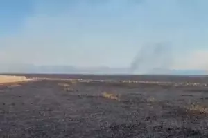 Скриншот видео &copy;&nbsp;https://www.youtube.com/Живая Кубань