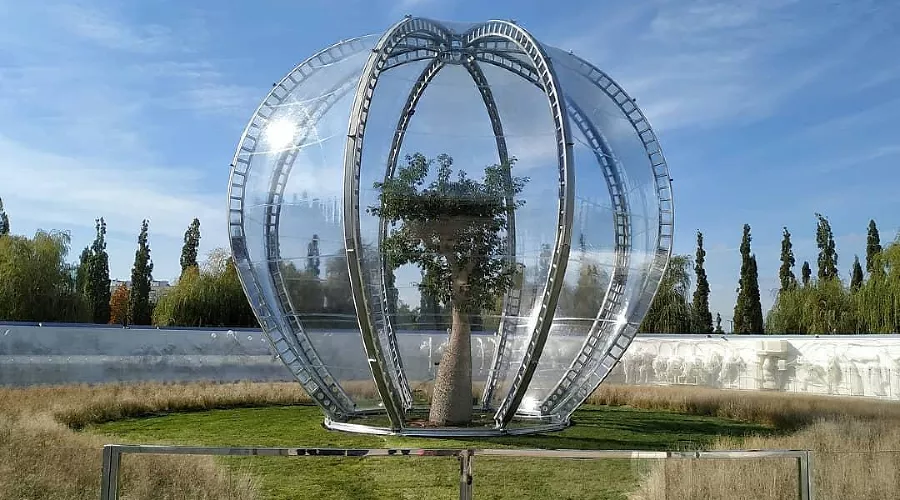  &copy;&nbsp;Фото из инстаграма "Городской парк Краснодар", instagram.com/officialparkkrasnodar/