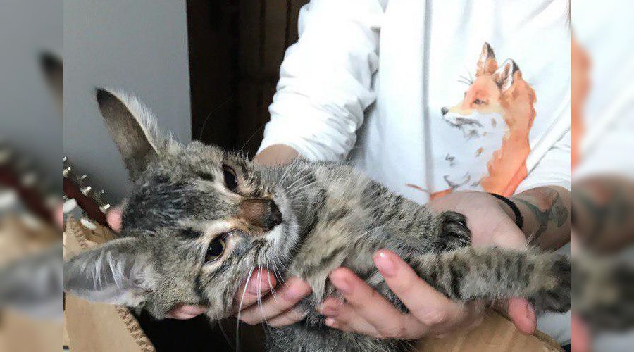  &copy;&nbsp;Фото из группы vk.com/rostovnadonu