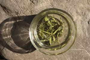  &copy;&nbsp;Фото Андрея Севоплясова